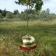 Bistro fringe pendant light, solid brass billiard table
