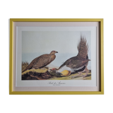 Vintage reproduction after Jean-Jacques Audubon, ornithology, Poule des armoises