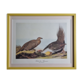 Vintage reproduction after Jean-Jacques Audubon, ornithology, Poule des armoises