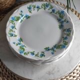 Fine porcelain dessert plates