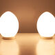 Egg lamps verrerie de Vianne, France, 1970s
