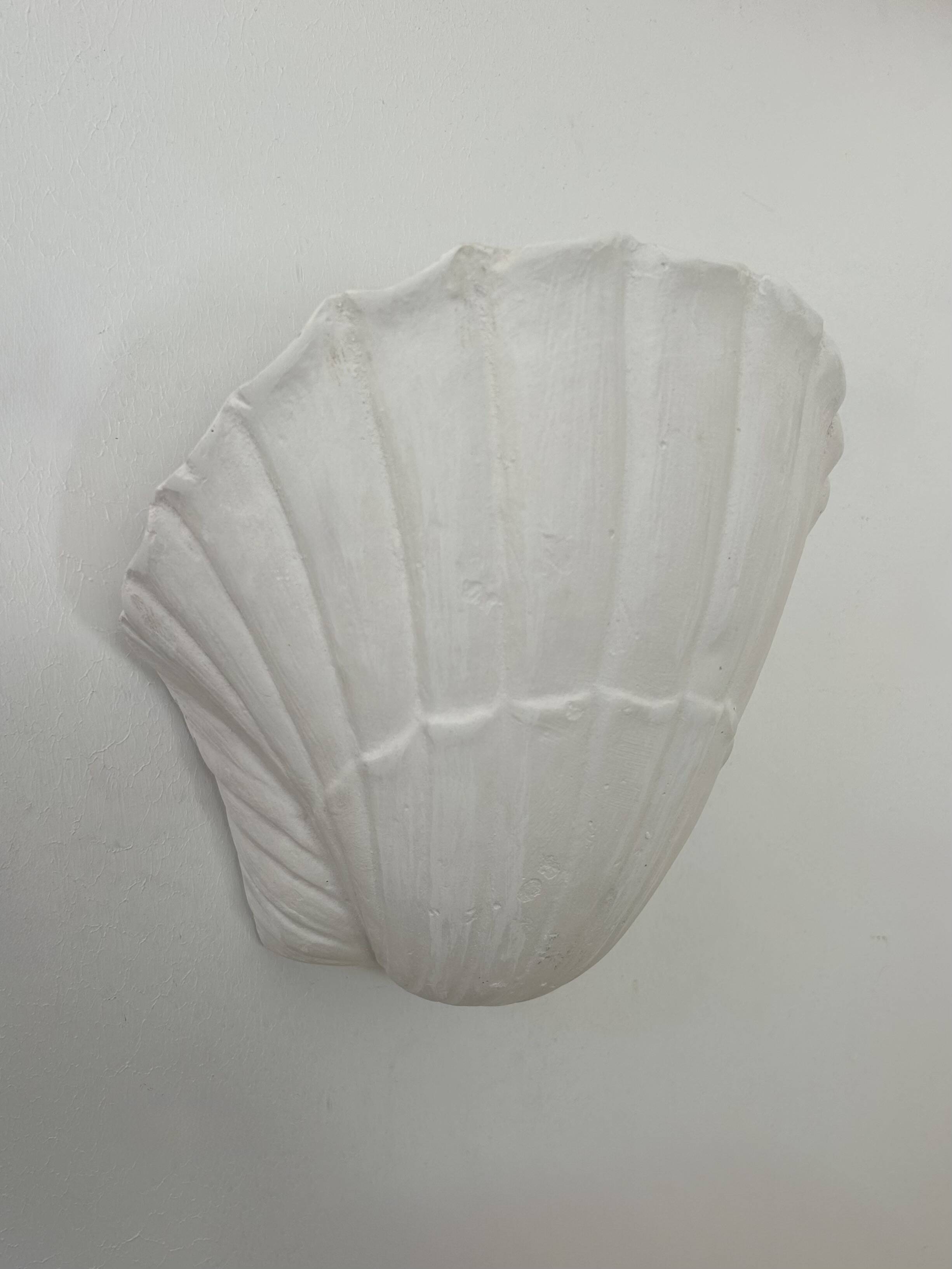 Pair of vintage shell wall lights, matte white plaster, France, 1970.