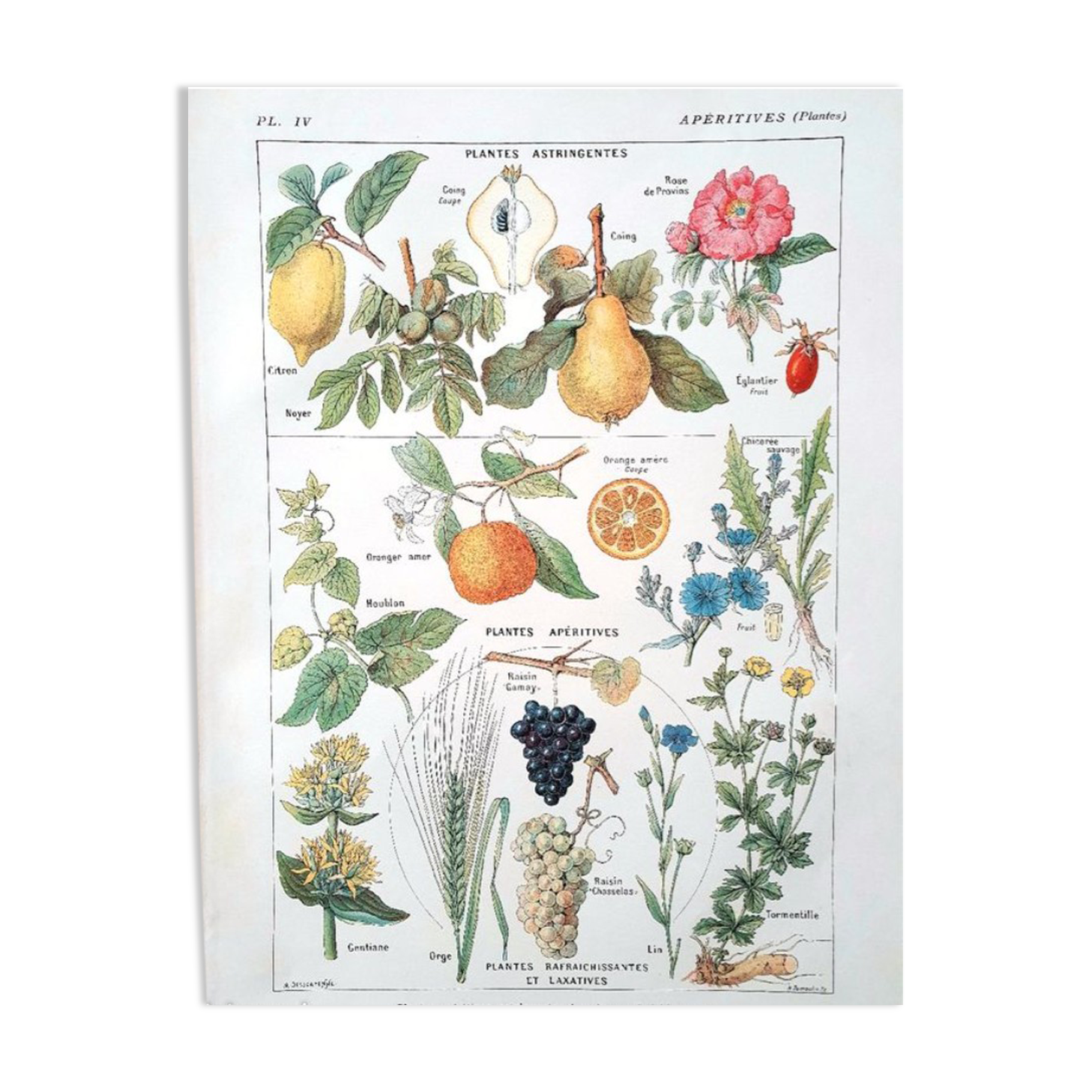 Old board years 20 aperitifs