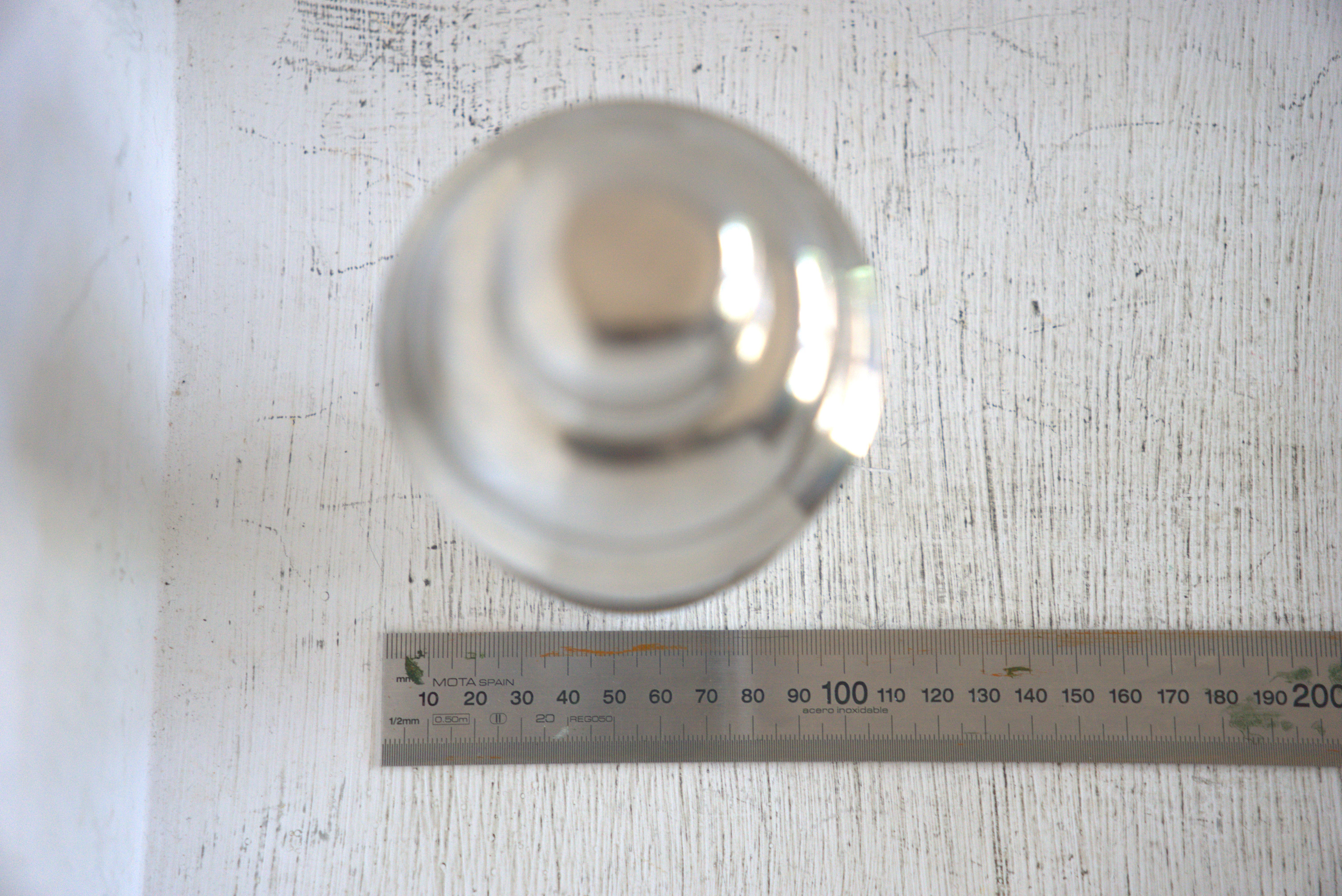 Stainless steel shaker