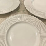 Flat plates and dessert plates