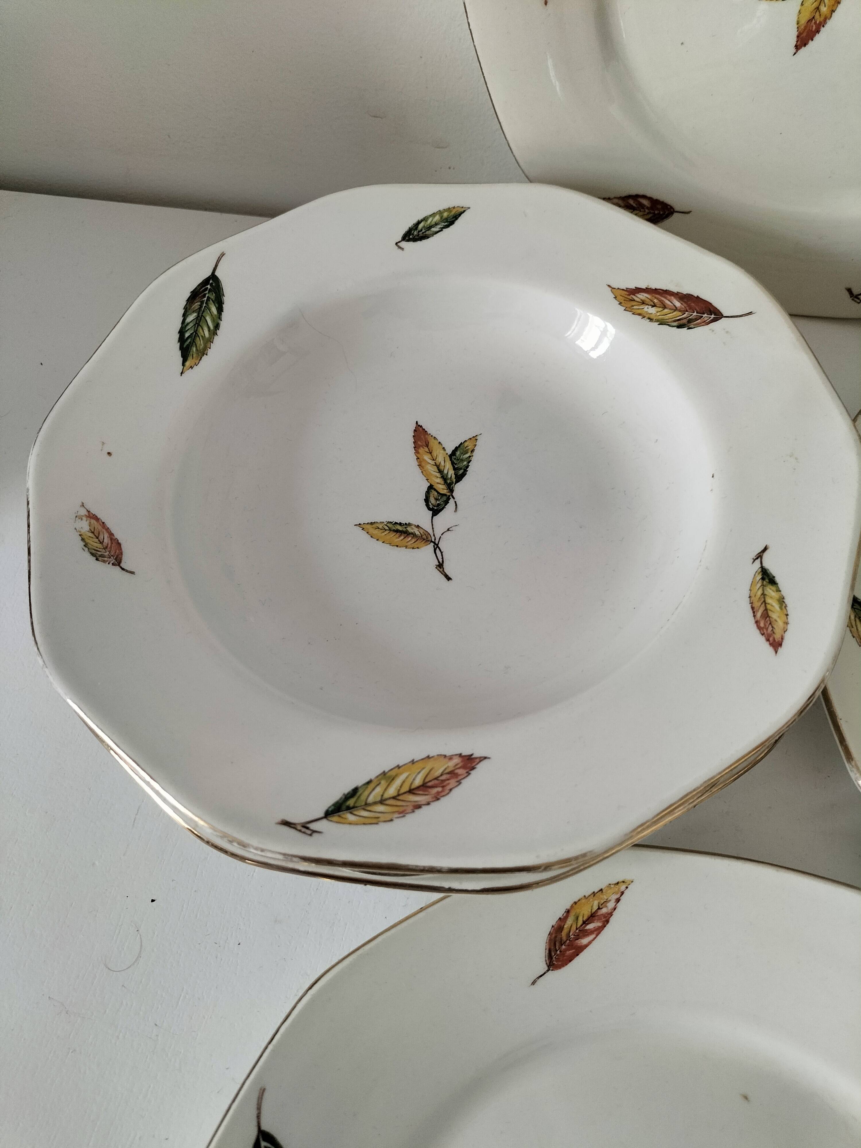 7 assiettes plates et creuses en faïence opaque Digoin Sarreguemines Nemours