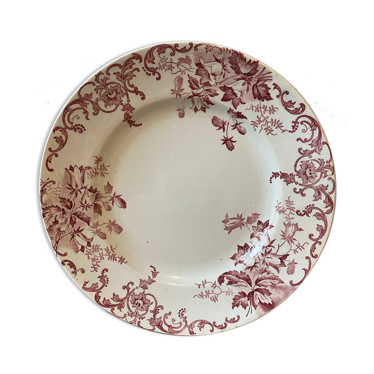 Plate ancient Iron Land XIXth "Campanula" St Amand & Hamage