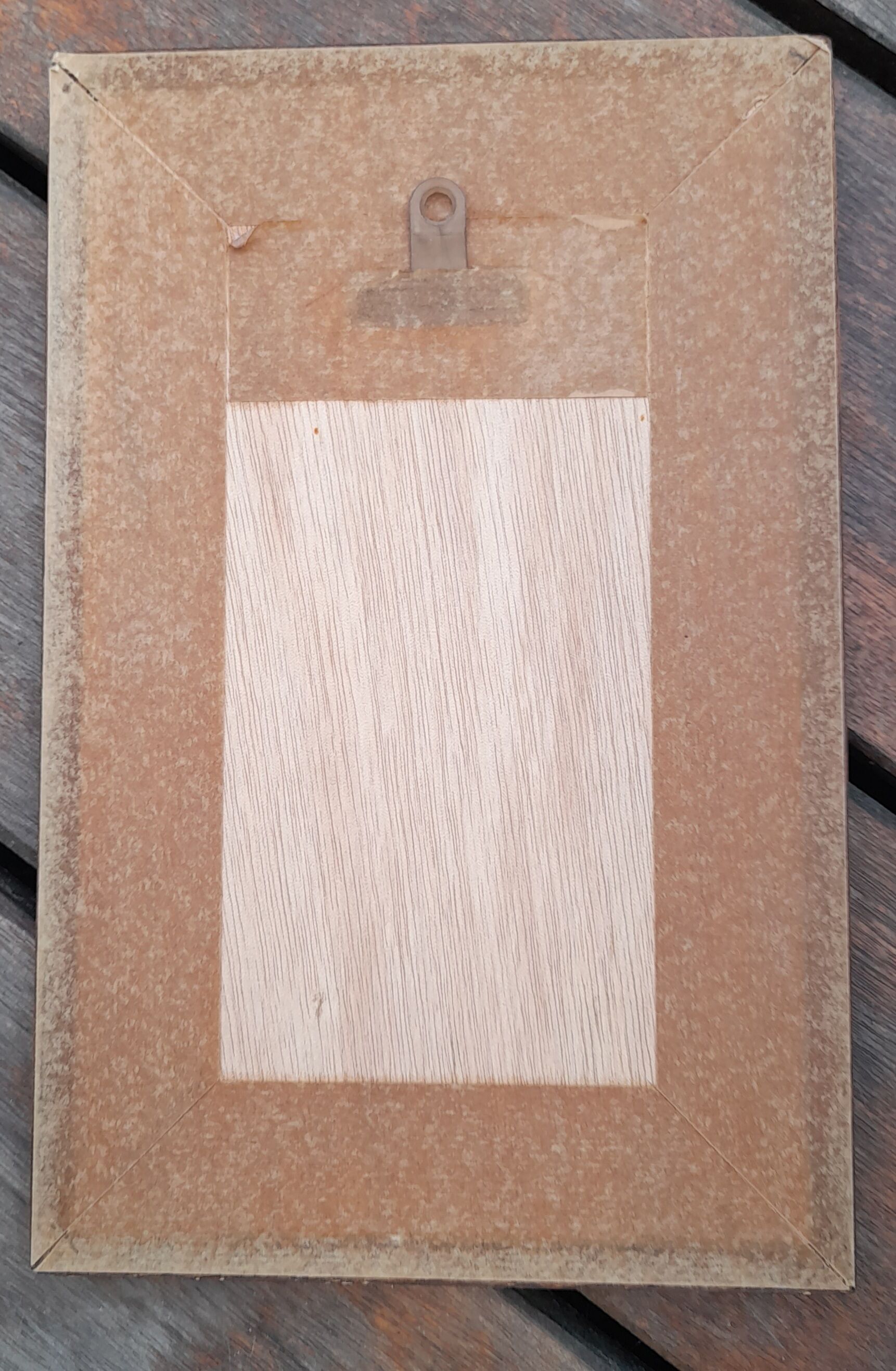 Reproduction print the avocado by Gavarni