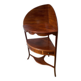 19th century mahogany corner cabinet