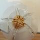 Globe en verre Mazzega Murano