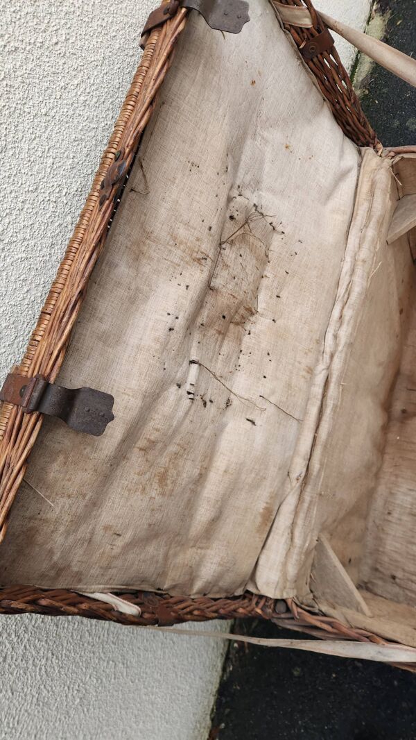 Ancienne malle de voyage Vintage en rotin osier des années 1900