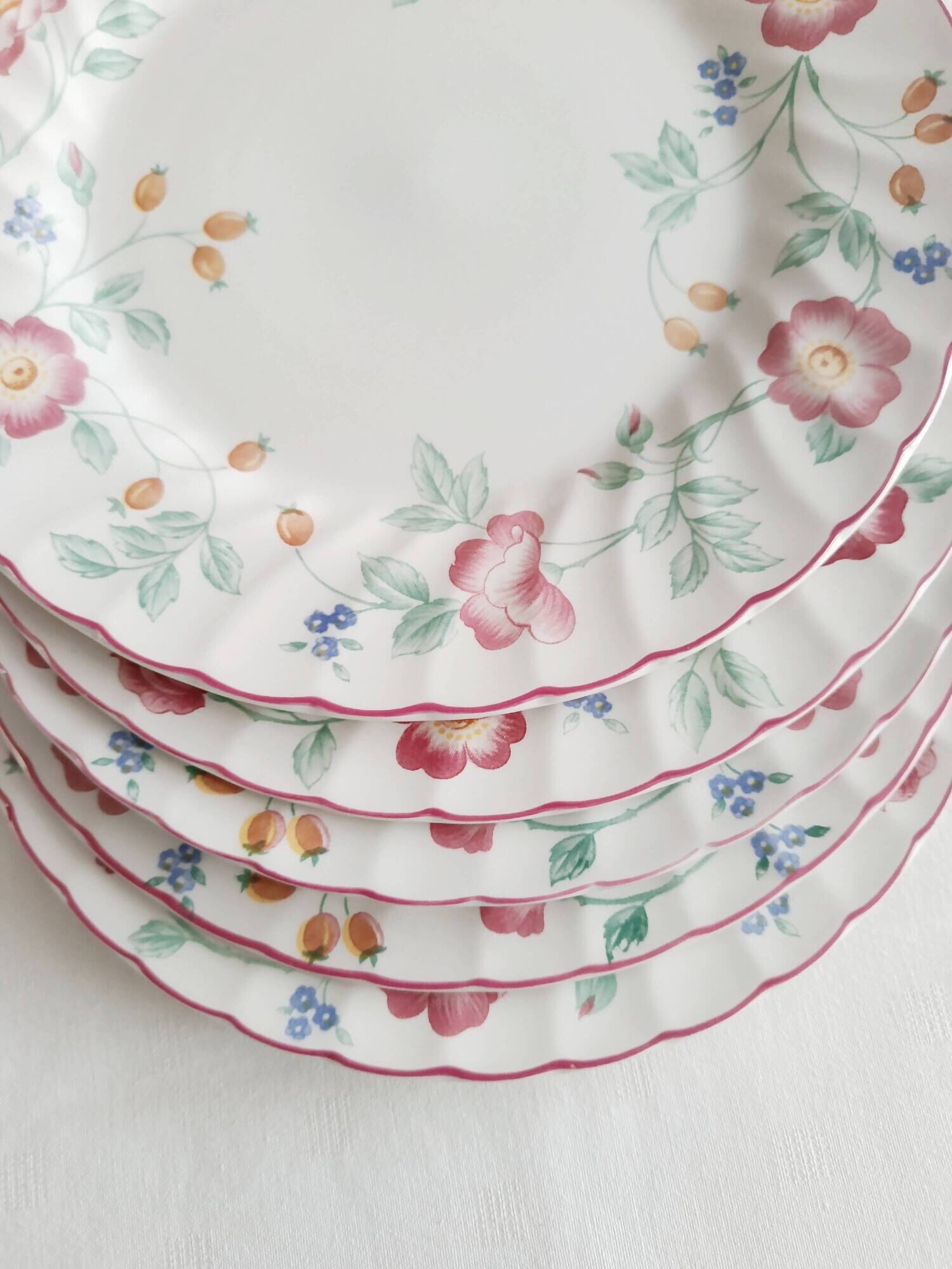 Set of 5 flat plates Churchill, Briar Rose