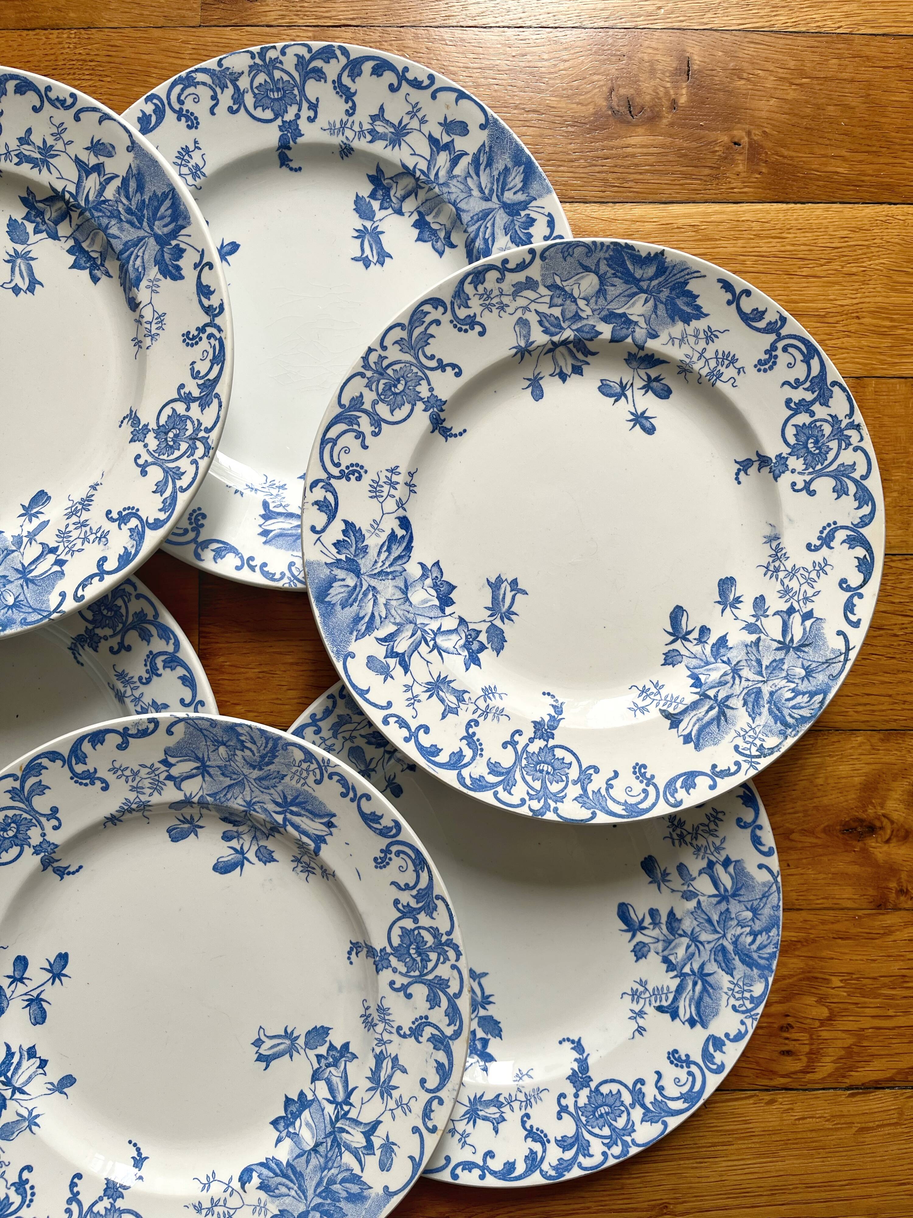 12 small flat plates "Campanule" Saint Amand and Hamage