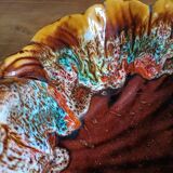 Coupe à fruits en forme coquillage