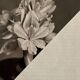 Flower in the dark - Original collage