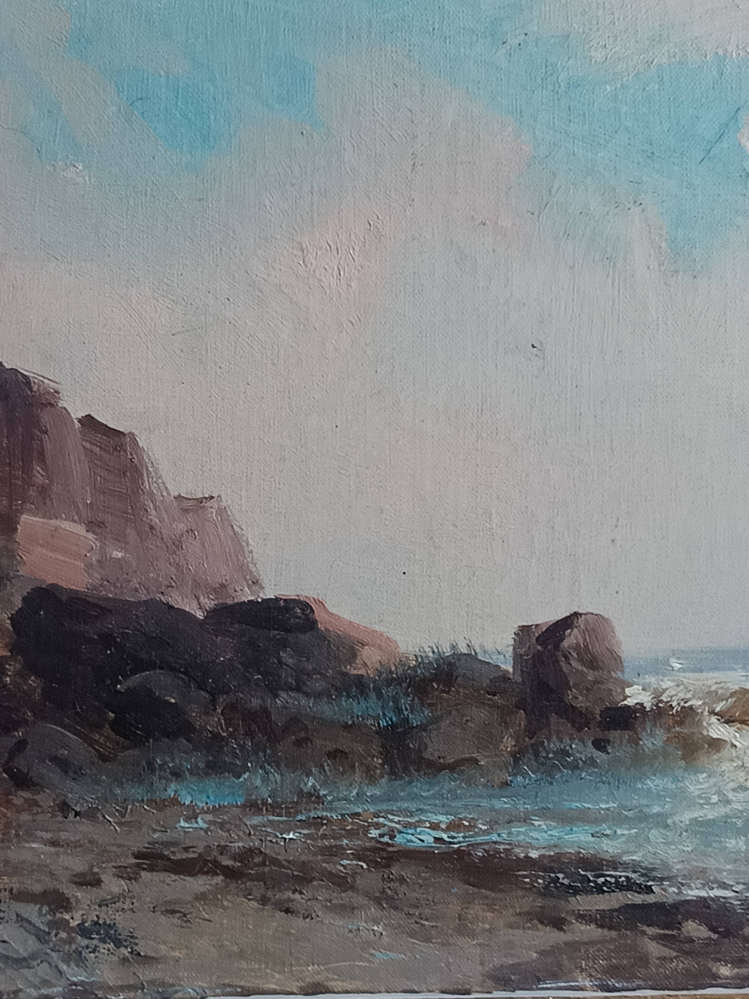marine old rocky coast oil on canvas 1890 - 1910
