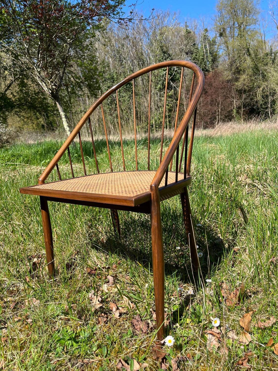 Curva Chair Joaquim Tenreiro