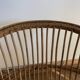Rattan shell chair