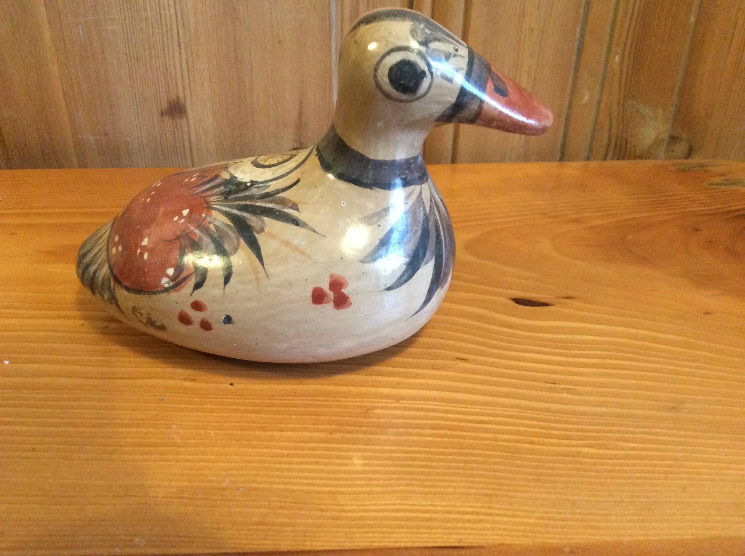 Mexico Duck