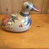 Mexico Duck