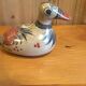 Mexico Duck