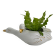 Cache pot two swans in vintage white and gold porcelain