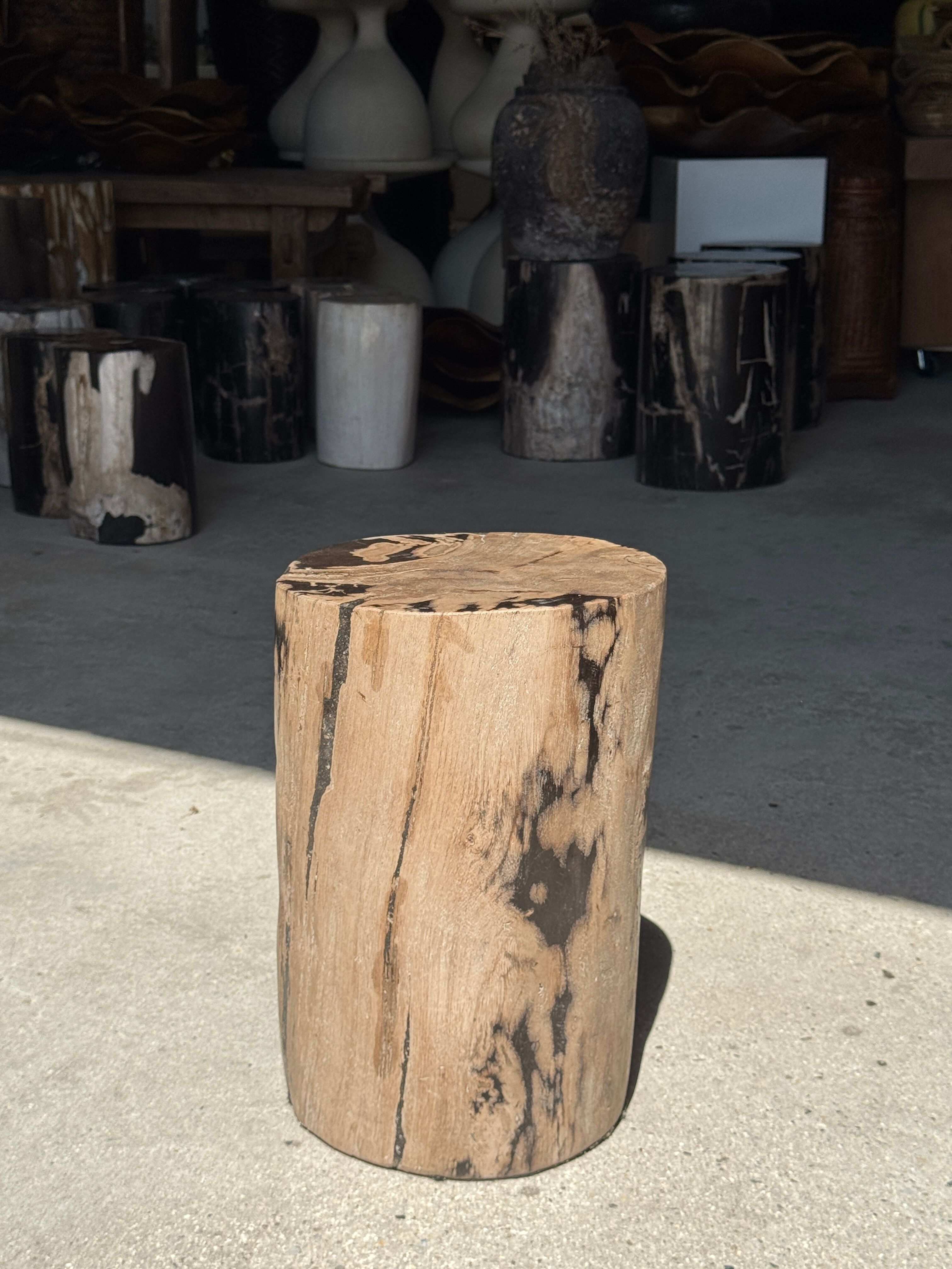 Brown and black petrified wood side table H35 D27 - 3333