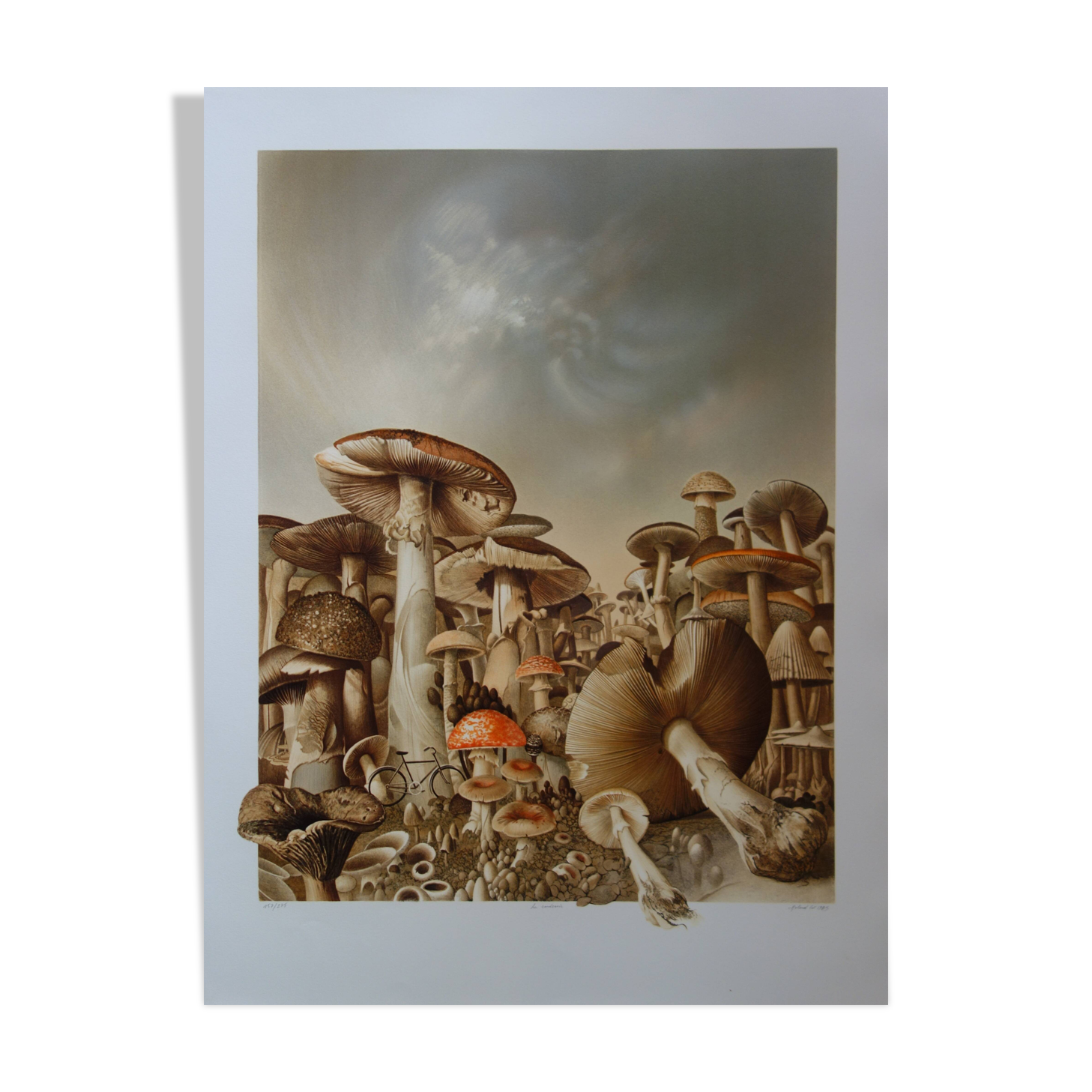Roland CAT: Bicycle and Mushrooms, original signed lithograph