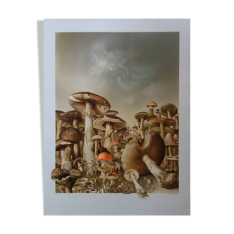 Roland CAT: Bicycle and Mushrooms, original signed lithograph
