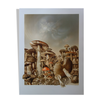 Roland CAT: Bicycle and Mushrooms, original signed lithograph