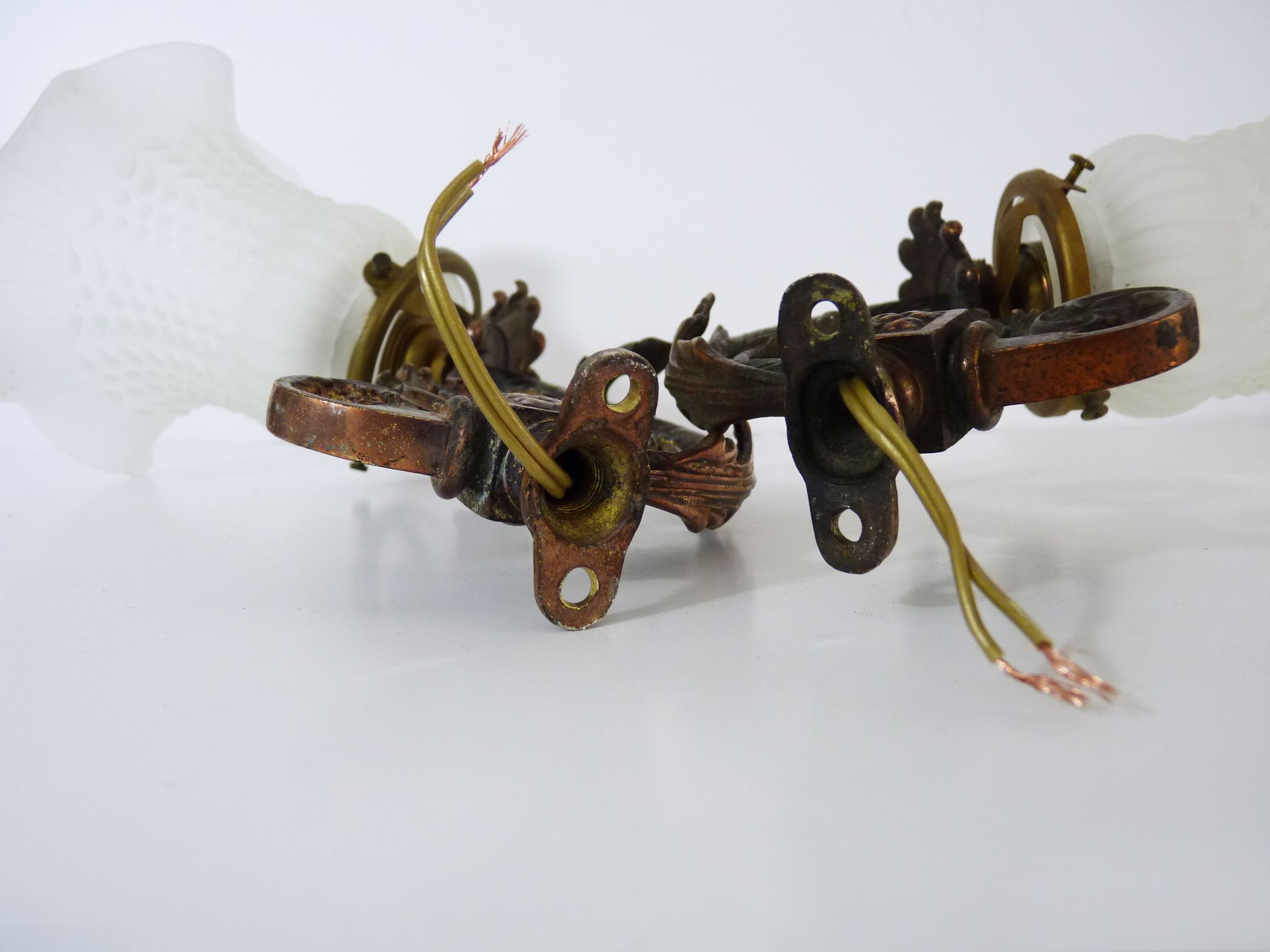 Pair of brass swan collar wall sconces, glass tulips, years 50