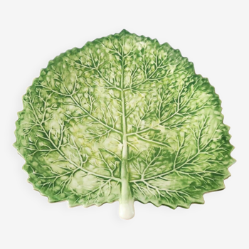 Cabbage leaf plate Barbotine