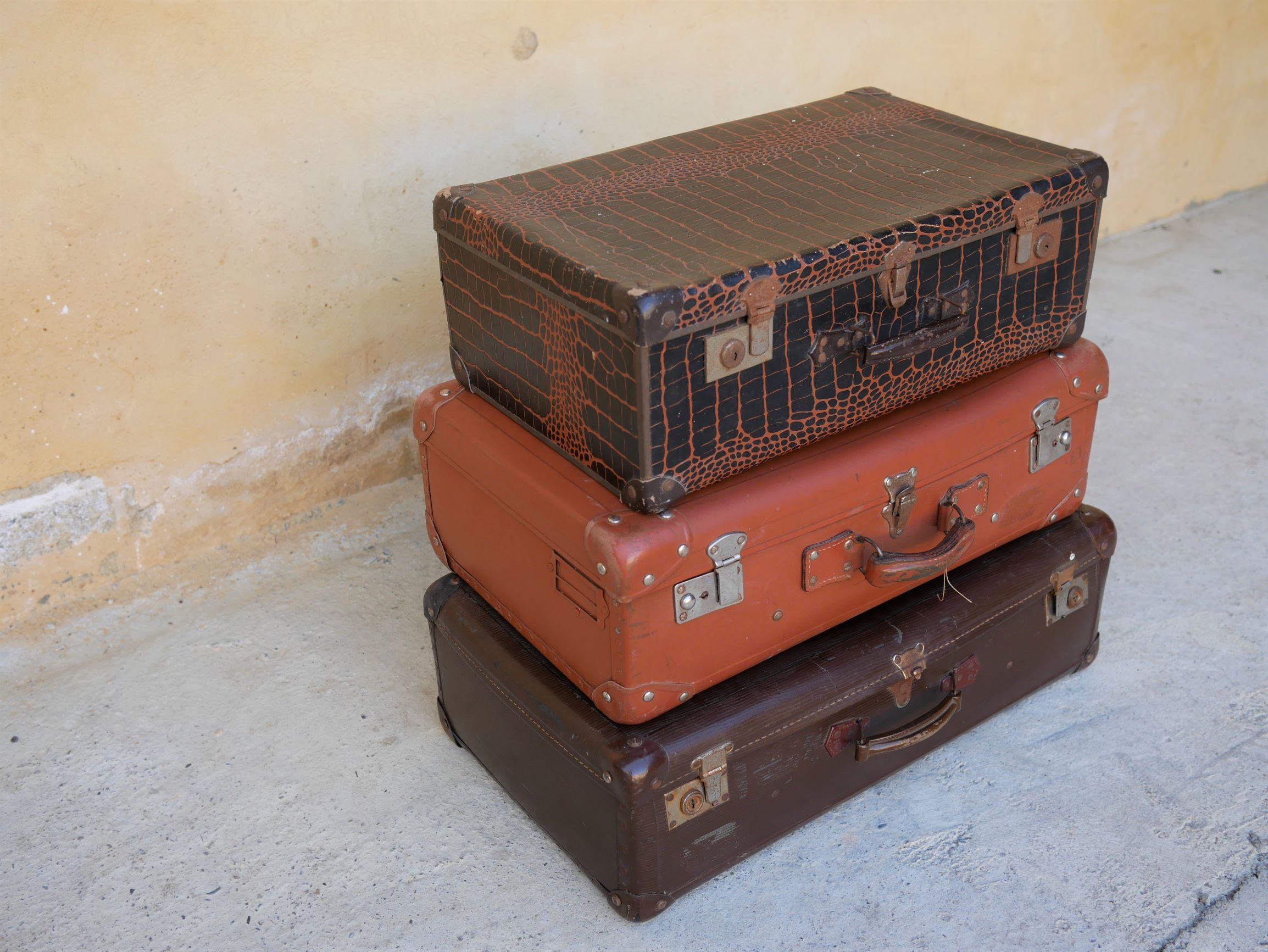 Vintage imitation crocodile case