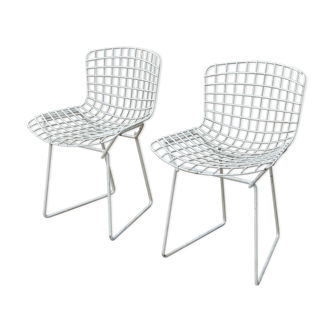 Pair of chairs Bertoia