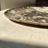 Very large pocket or dish in petrified wood