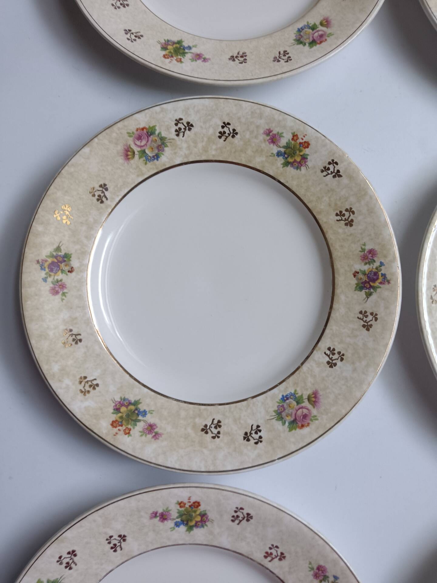 Set of 6 flat plates Salins model Simone beige with flowers.