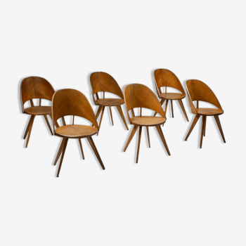 Italian Plywood Dining Chairs