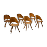 Italian Plywood Dining Chairs
