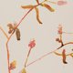 Watercolor illustration flowers