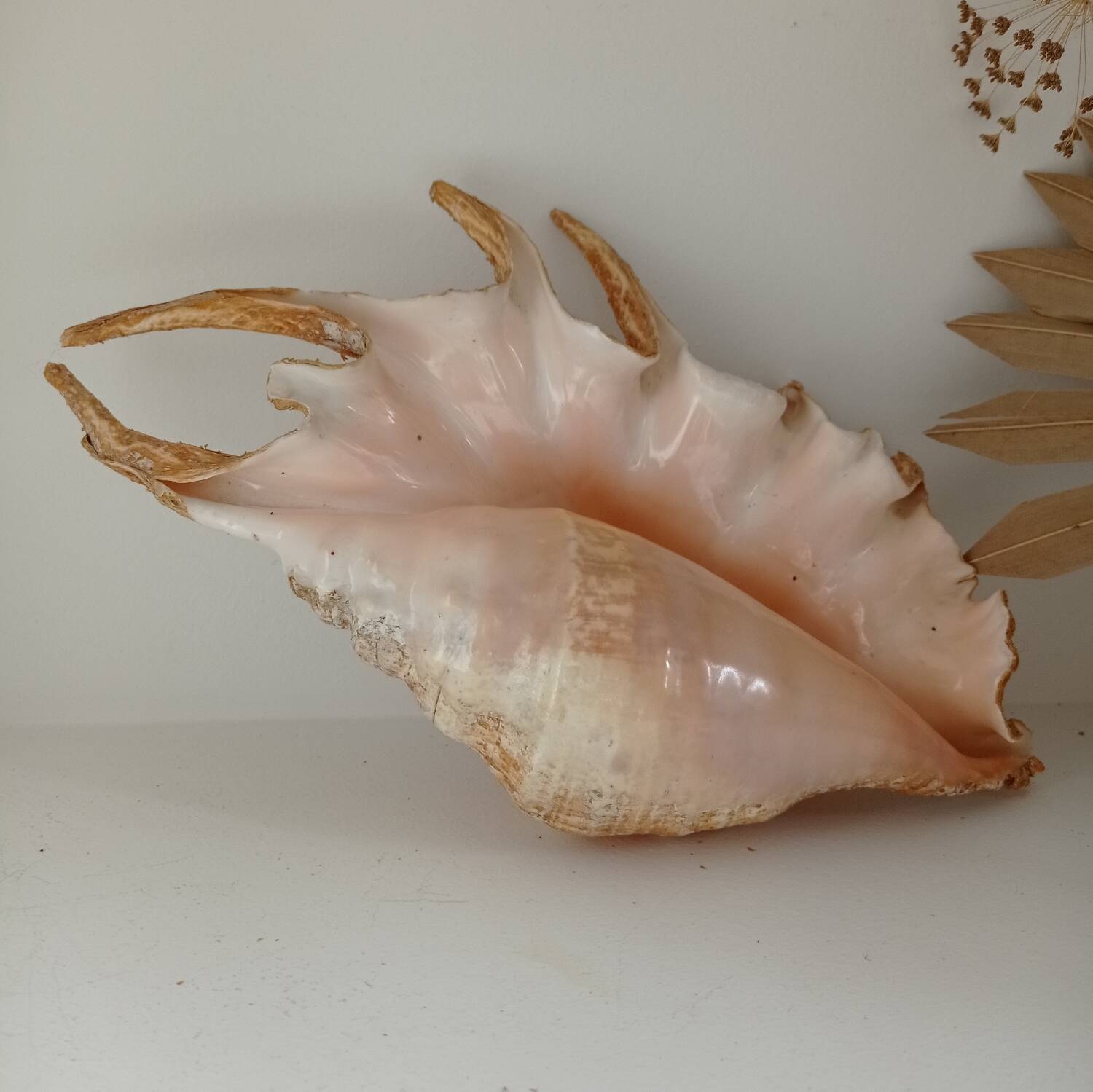 Vintage shell