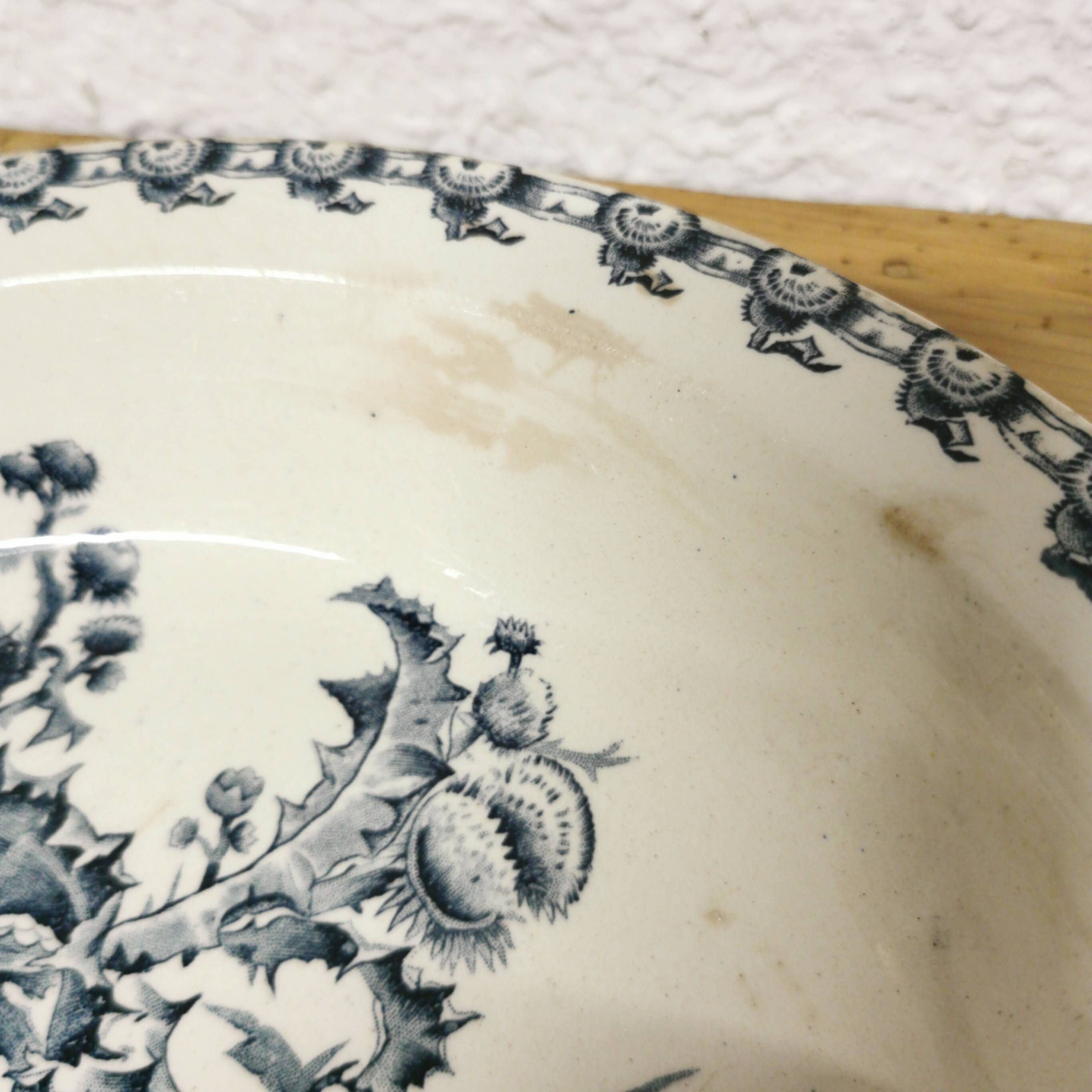 Shallow dish Chardons Gien - late 19th century