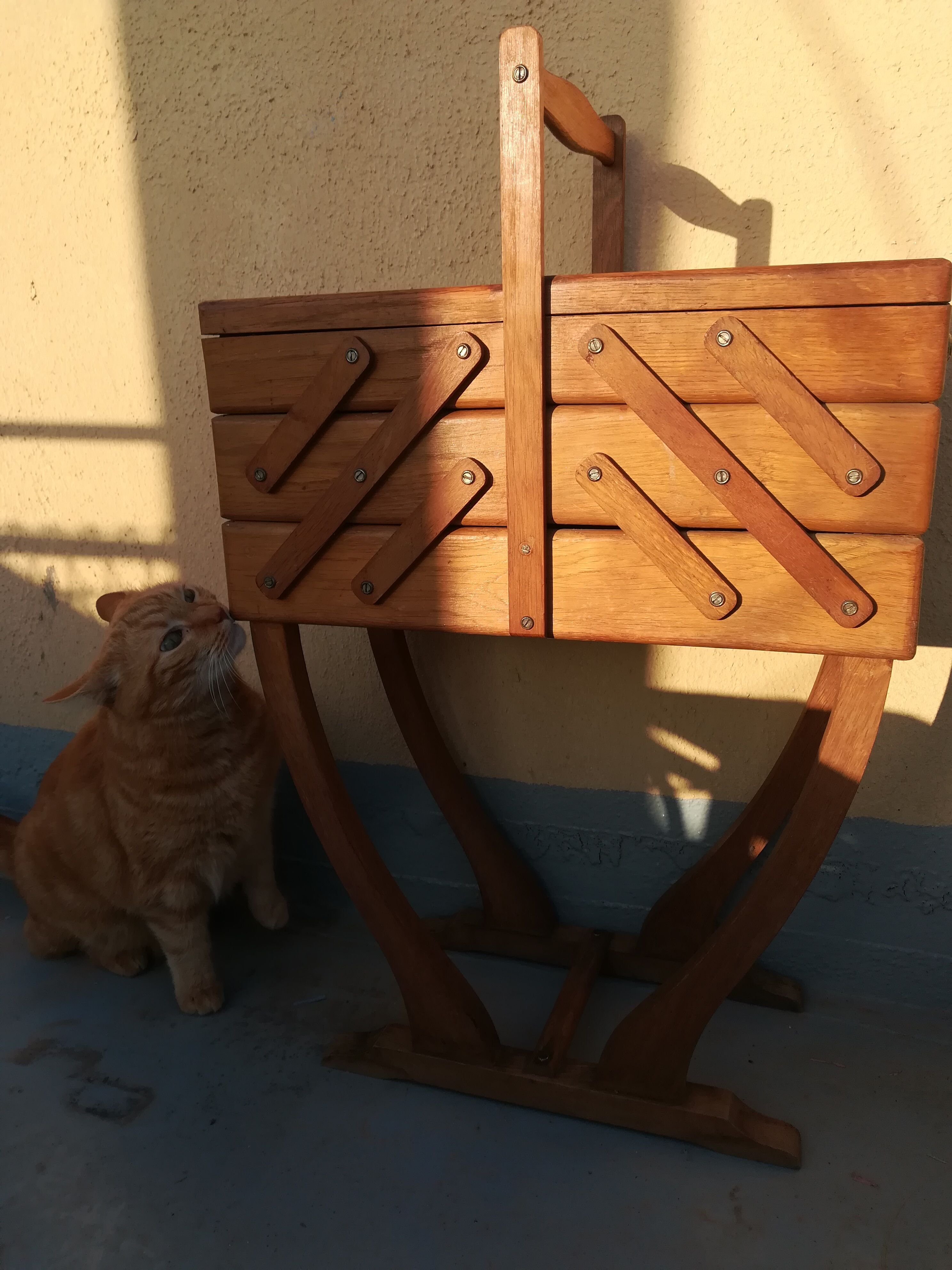 Worker light oak on feet