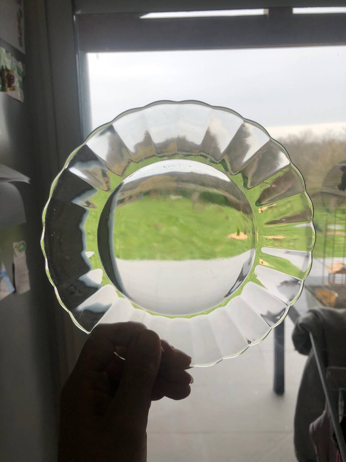 Duralex dessert plates in the shape of a daisy flower, transparent glass