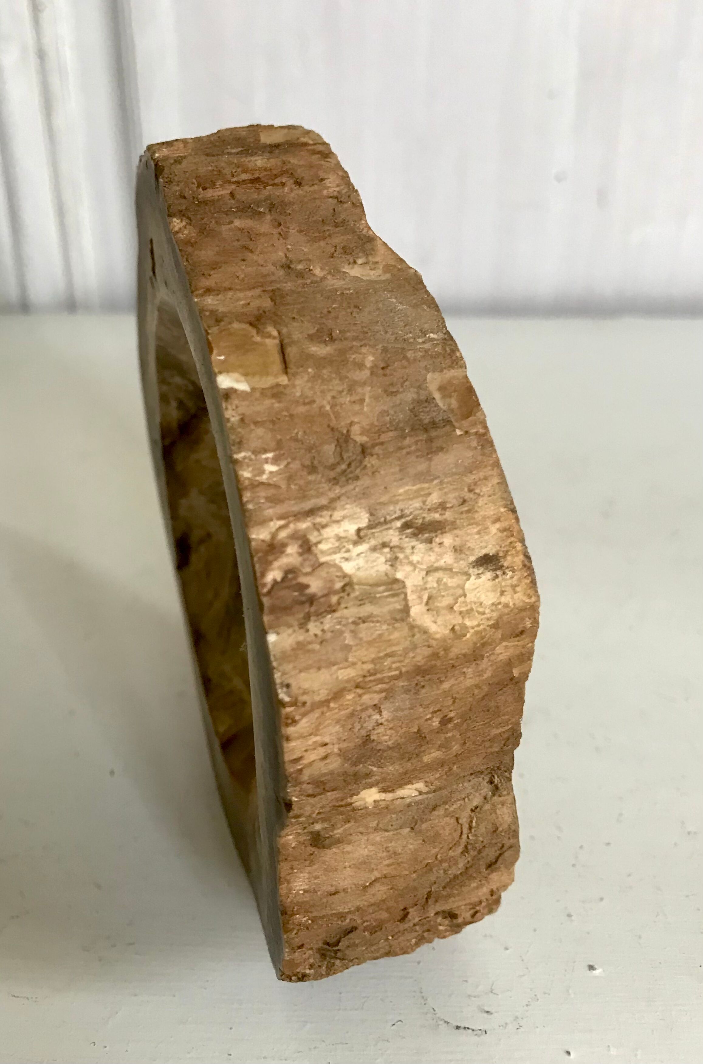 Petrified wooden ashtray