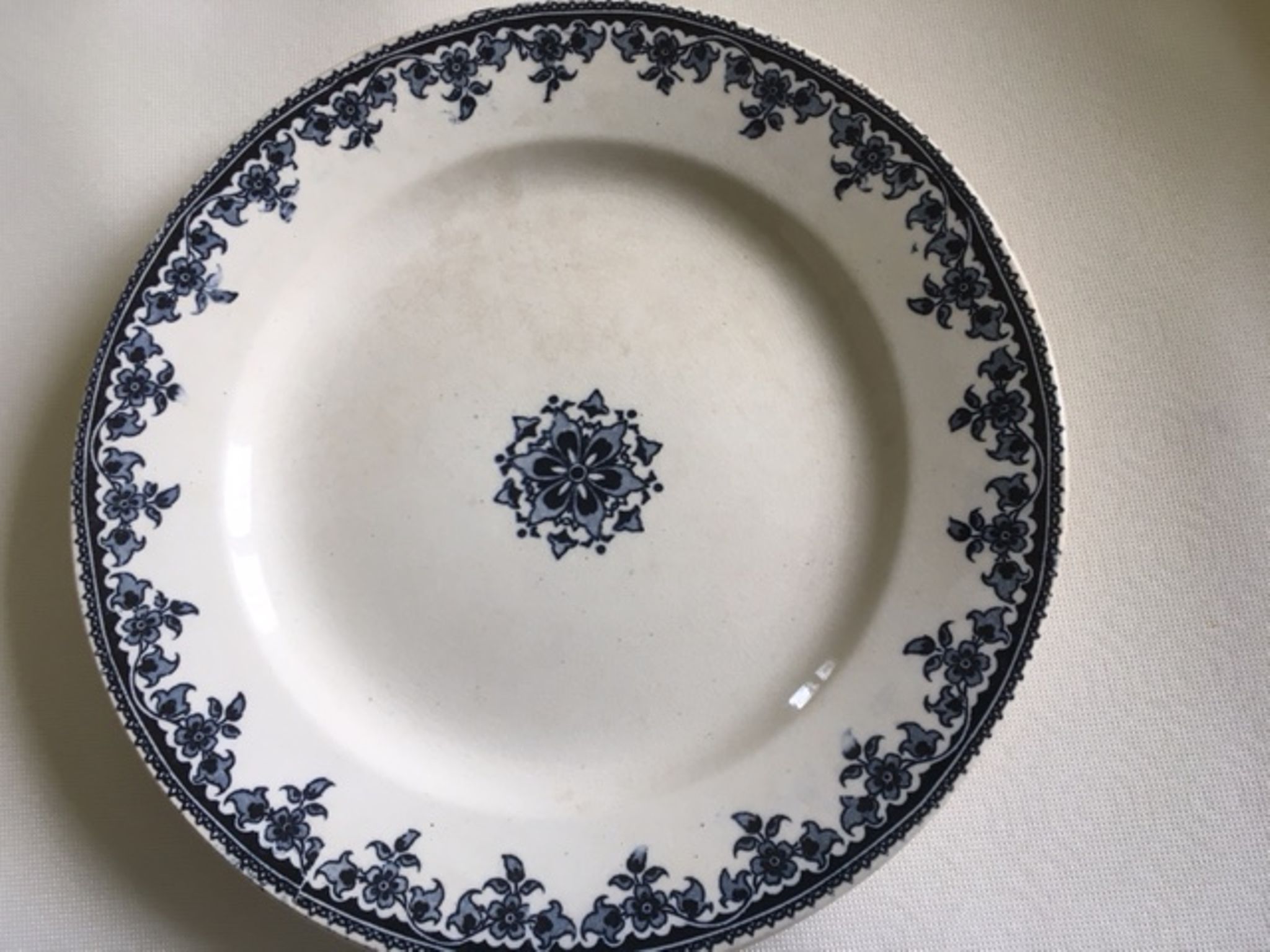 10 assiettes  plates terre de fer et 2  creuses  service gagny