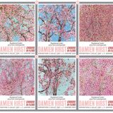 Damien Hirst - Cherry Blossoms