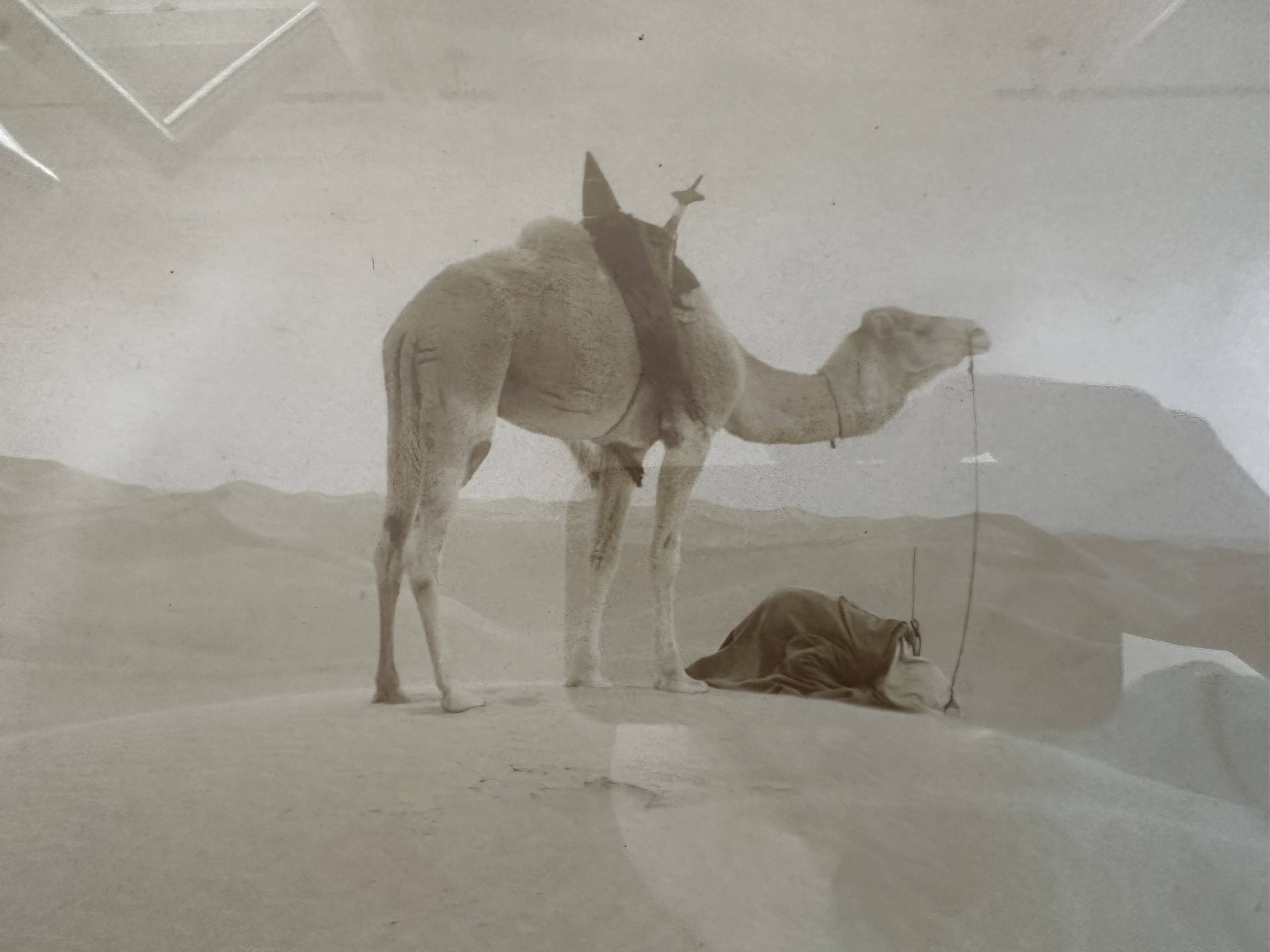 Panoramic photograph of the ancient Sahara A. Bougault around 1900 – Framed