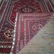Tapis Persan Qashqaï fait main 316x220cm
