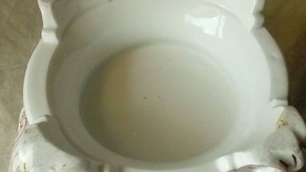 Coupe a fruit en porcelaine ajouree vieux paris 19 éme epoque charles x