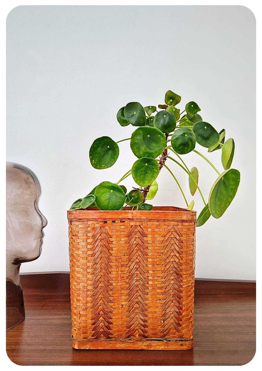 Vintage Bamboo Flower Pot